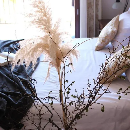 Casa Alice Appartement