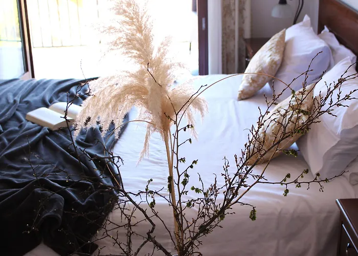 卡萨爱丽丝酒店